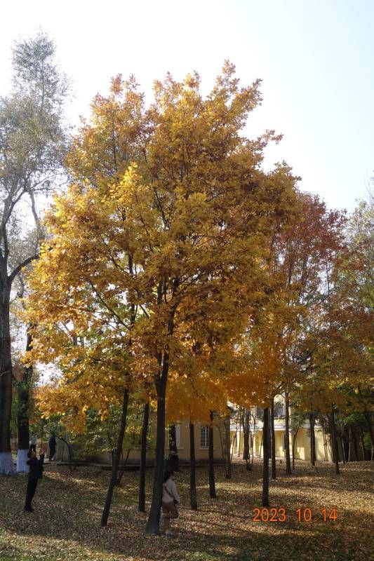 ΢��ͼƬ_20231014182711.jpg
