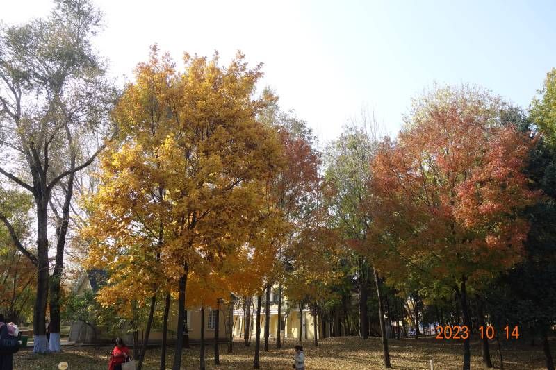 ΢��ͼƬ_20231014182722.jpg