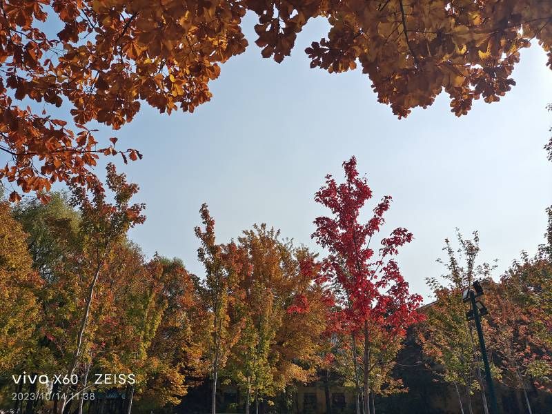 ΢��ͼƬ_20231014210150.jpg