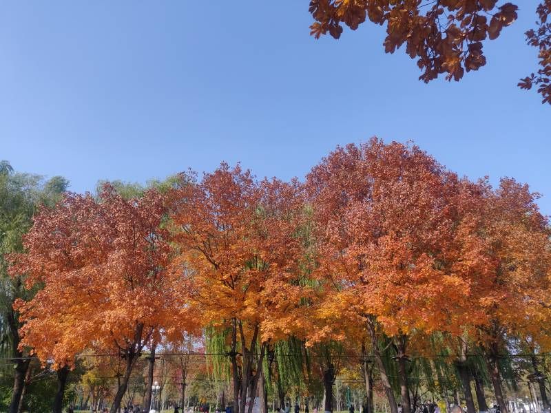΢��ͼƬ_20231014193311.jpg