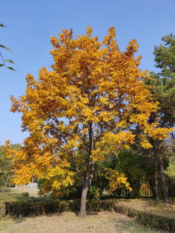 ΢��ͼƬ_20231014193334.jpg