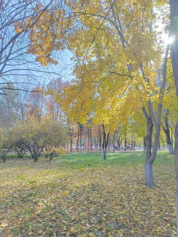 ΢��ͼƬ_20231017151920.jpg