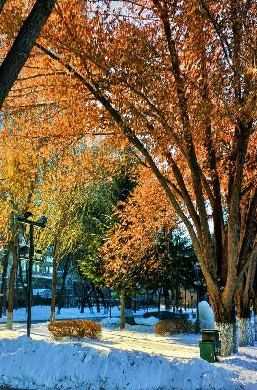΢��ͼƬ_20231125133820.jpg