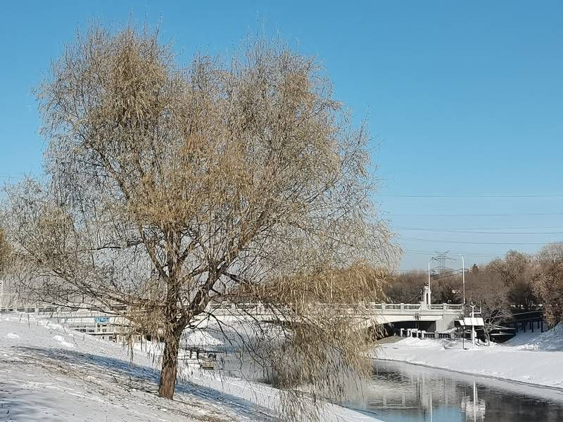 ΢��ͼƬ_20231125174549.jpg