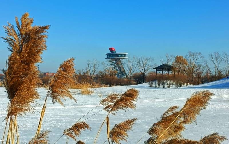 ΢��ͼƬ_20231212204201.jpg