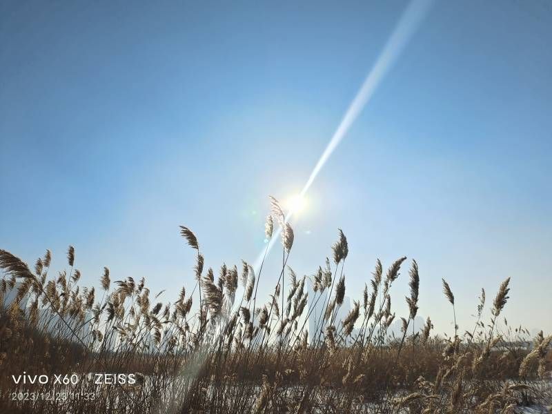 ΢��ͼƬ_20231223214758.jpg