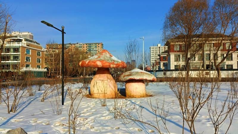 ΢��ͼƬ_20240120160331.jpg