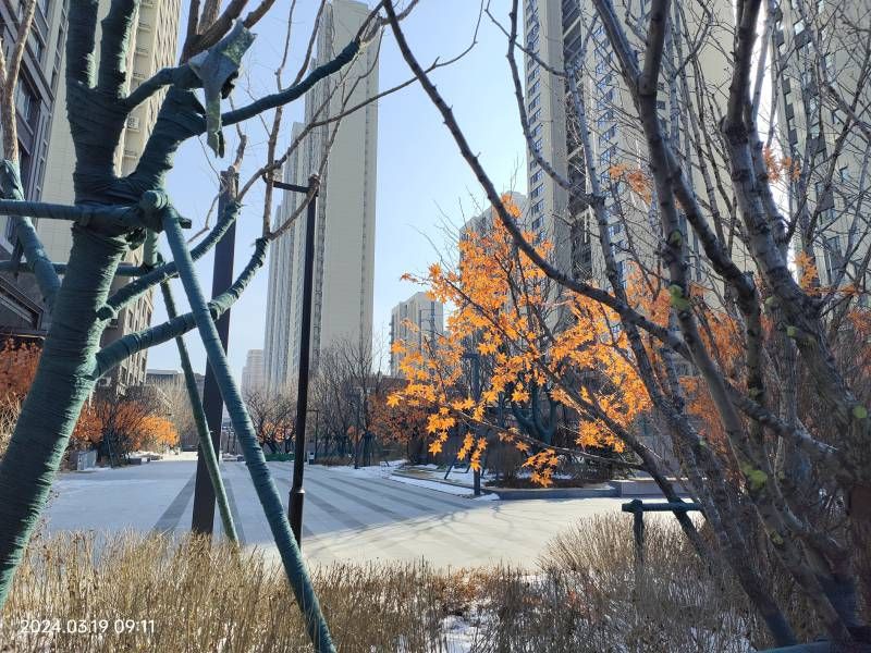 ΢��ͼƬ_20240319145104.jpg