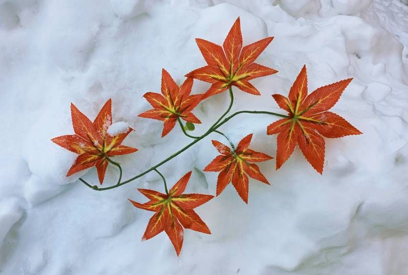 ΢��ͼƬ_20240319192953.jpg