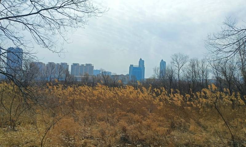 ΢��ͼƬ_20240402211135.jpg