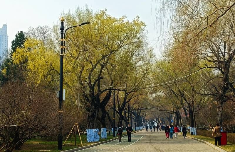 ΢��ͼƬ_20240420210053.jpg