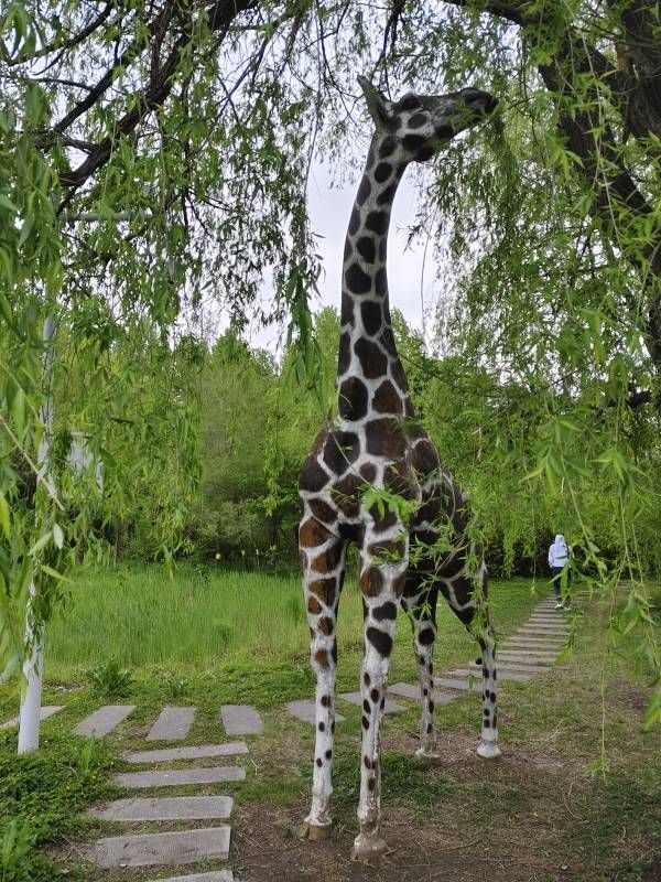 ΢��ͼƬ_20240514150052.jpg