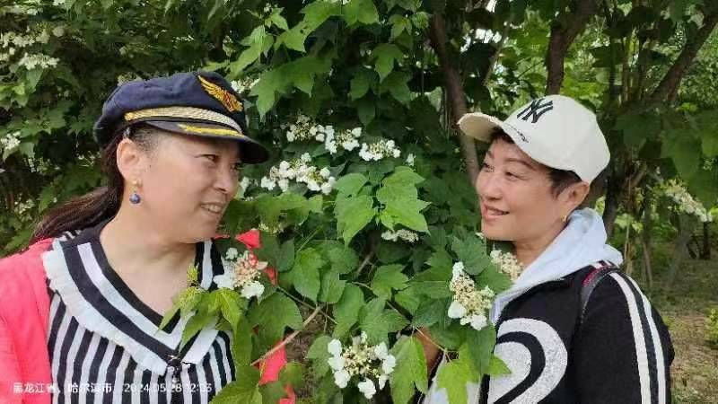 微信图片_20240528155950.jpg