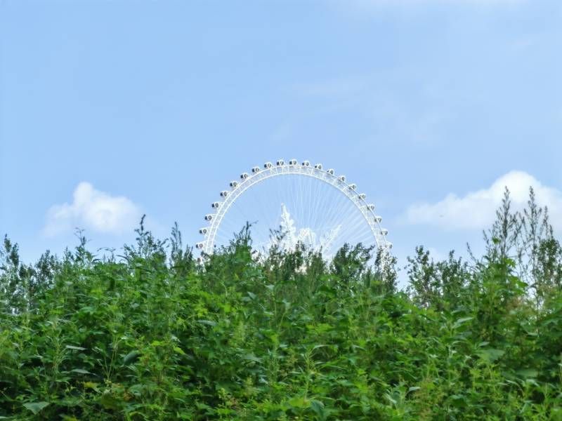 ΢��ͼƬ_20240806222905.jpg