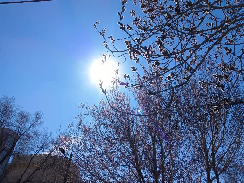 ΢��ͼƬ_20260414195950.jpg