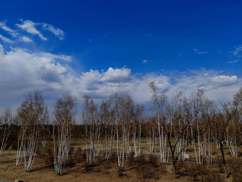 ΢��ͼƬ_20260429075058.jpg