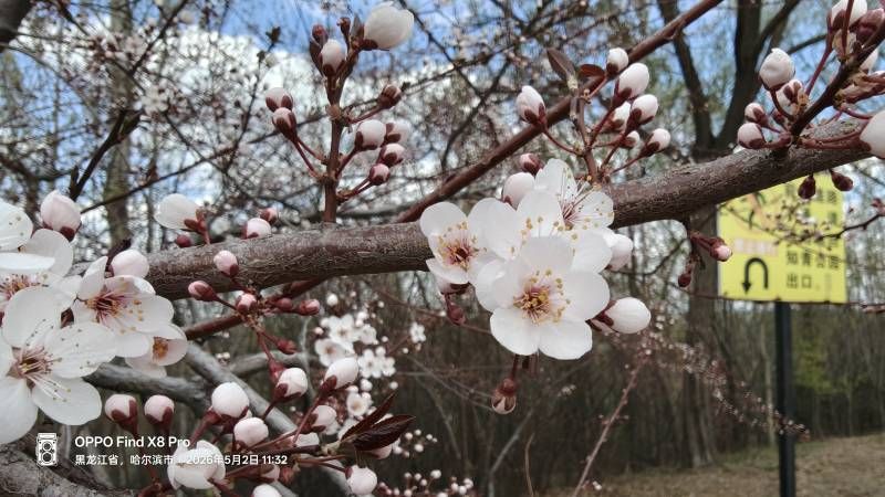 ΢��ͼƬ_20260502182045.jpg