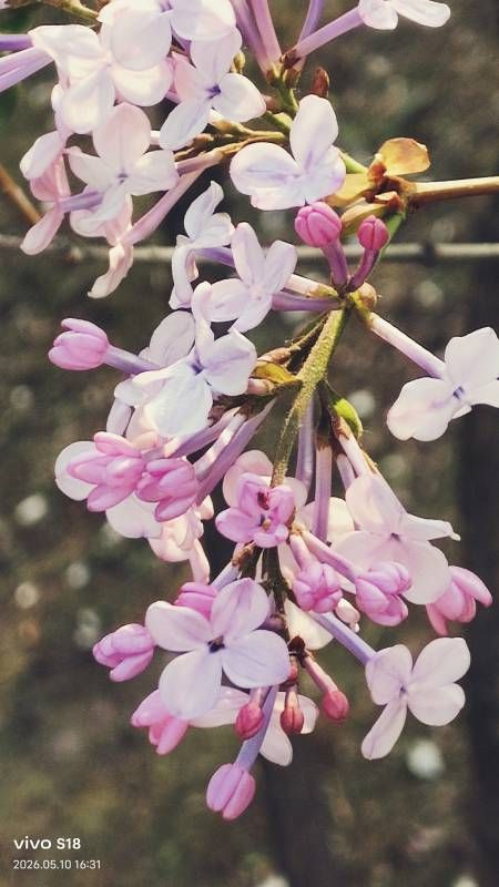 ΢��ͼƬ_20260512203258.jpg