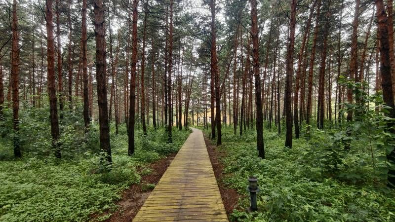 ΢��ͼƬ_20020101015954.jpg