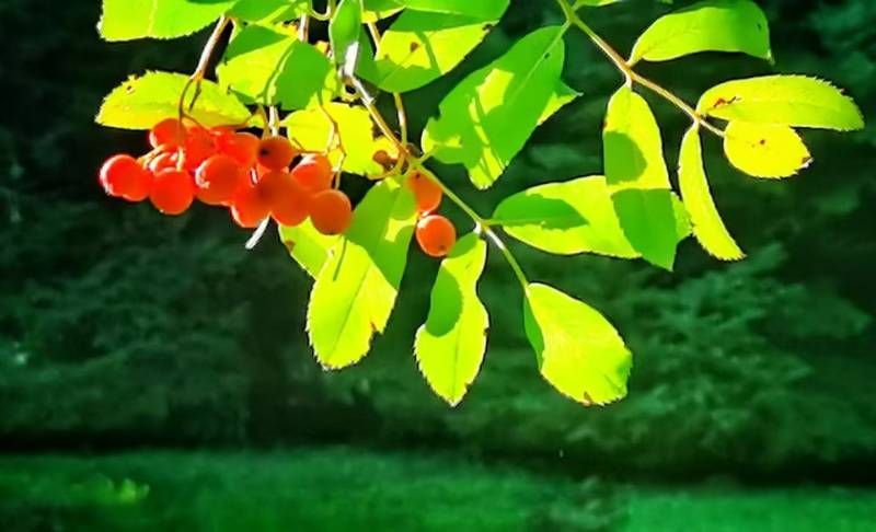΢��ͼƬ_20260905181750.jpg