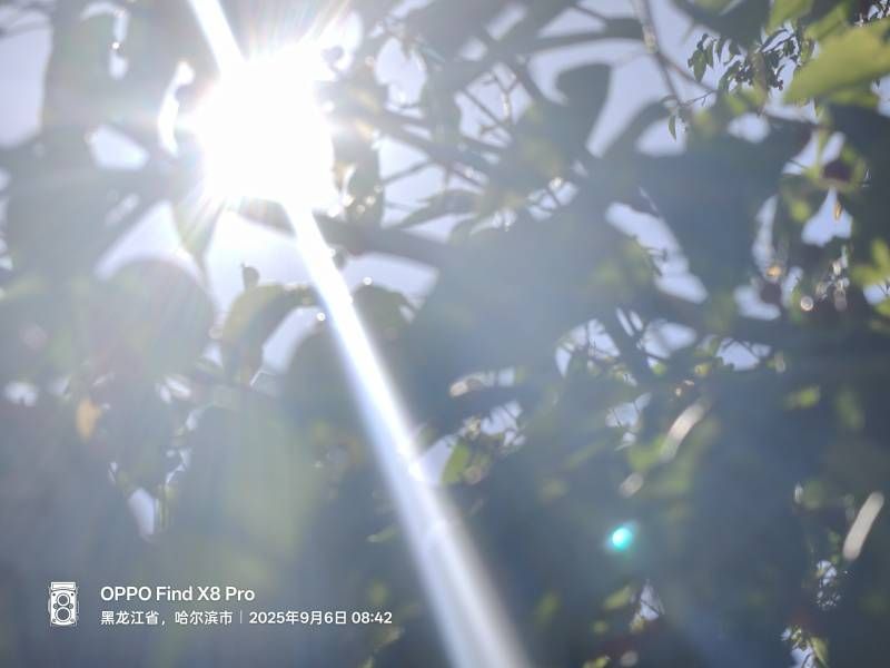 ΢��ͼƬ_20250906220925.jpg