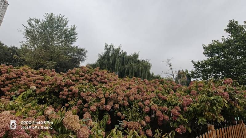 ΢��ͼƬ_20251011230431.jpg
