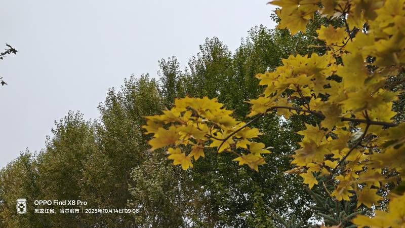 ΢��ͼƬ_20251014194815.jpg