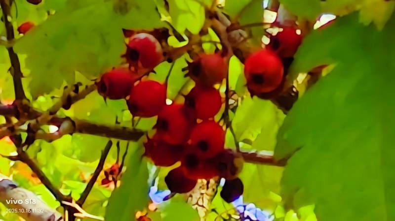 ΢��ͼƬ_20251019105118.jpg