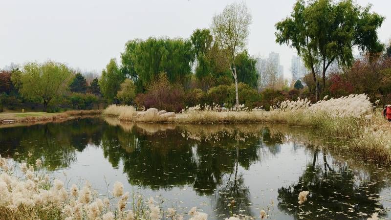 ΢��ͼƬ_20251101185649.jpg