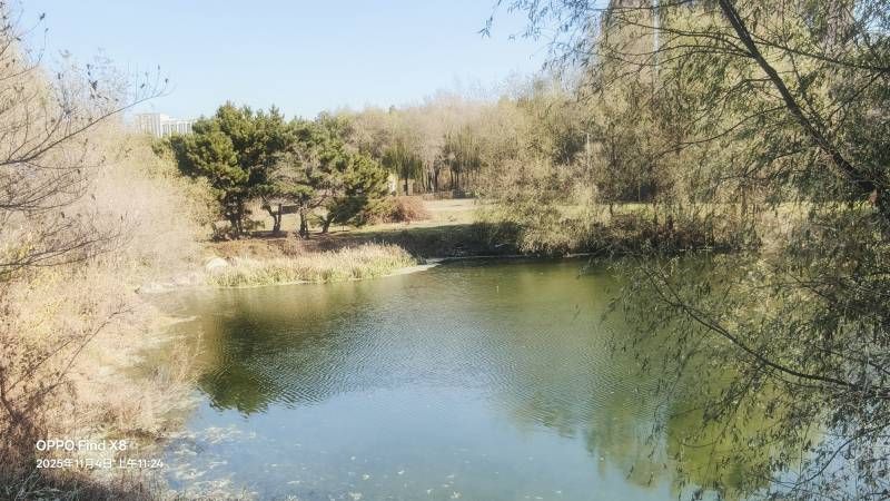 ΢��ͼƬ_20251104201836.jpg
