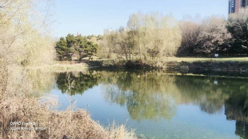 ΢��ͼƬ_20251104201847.jpg