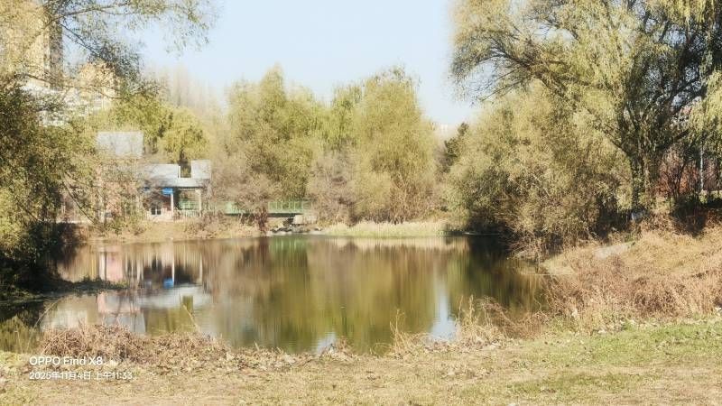 ΢��ͼƬ_20251104202007.jpg
