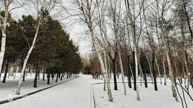 ΢��ͼƬ_20251129210725.jpg