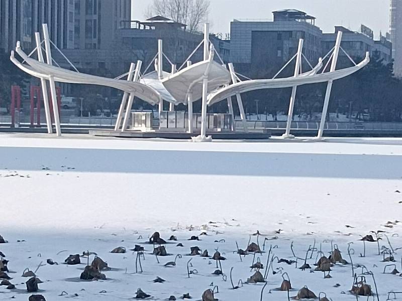 ΢��ͼƬ_20251213155554.jpg
