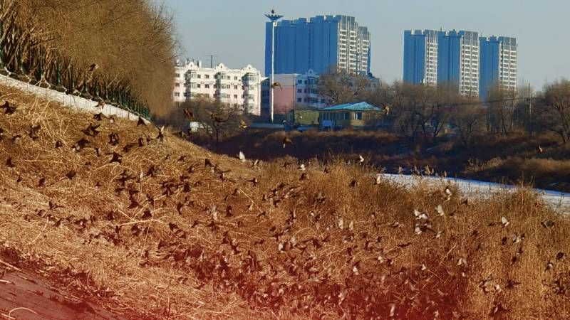 ΢��ͼƬ_20251216201129.jpg