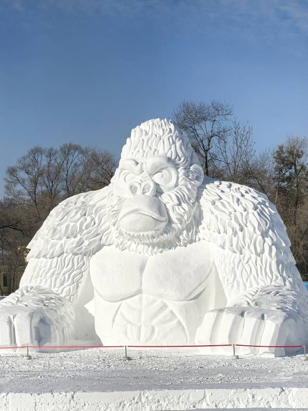 ΢��ͼƬ_20260203195147.jpg