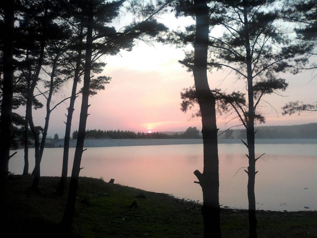 ��Ƭ-03521.JPG