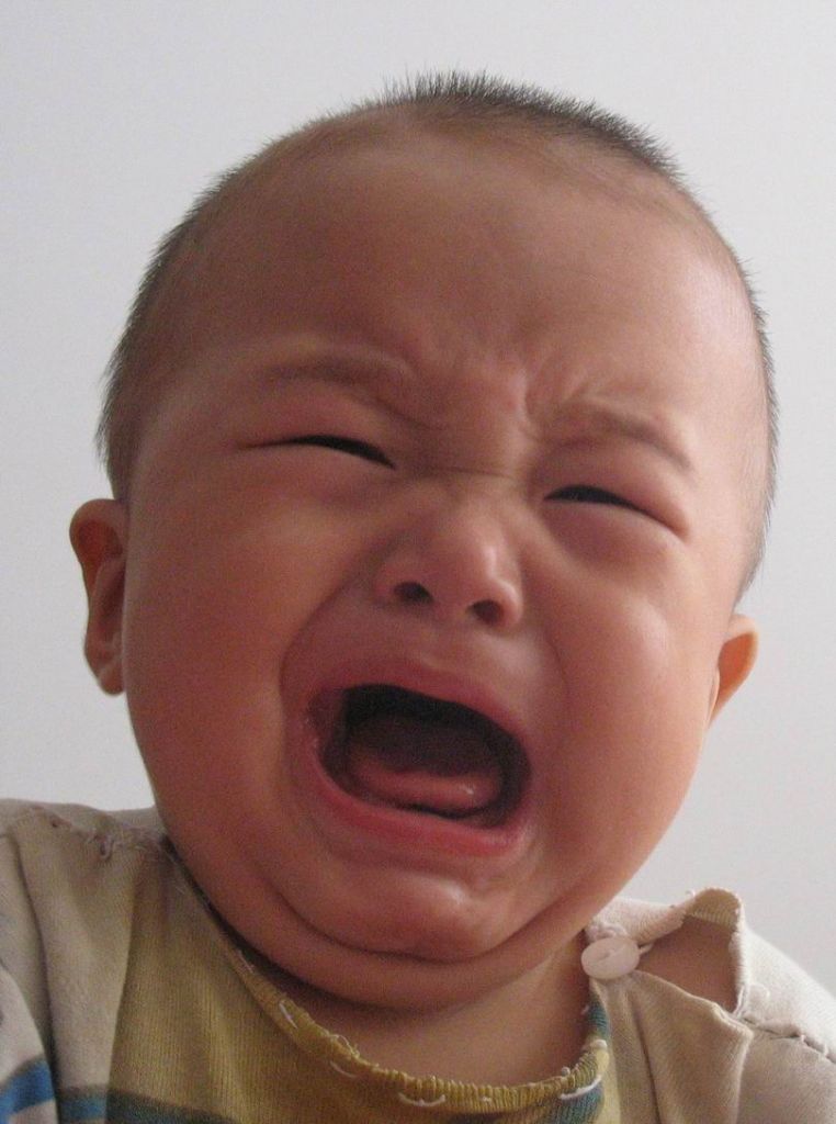 ������С 5031.jpg