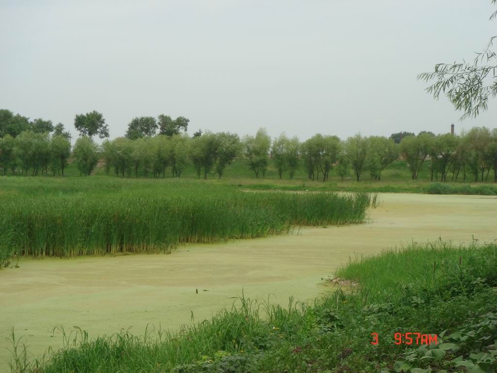 DSC07977.JPG