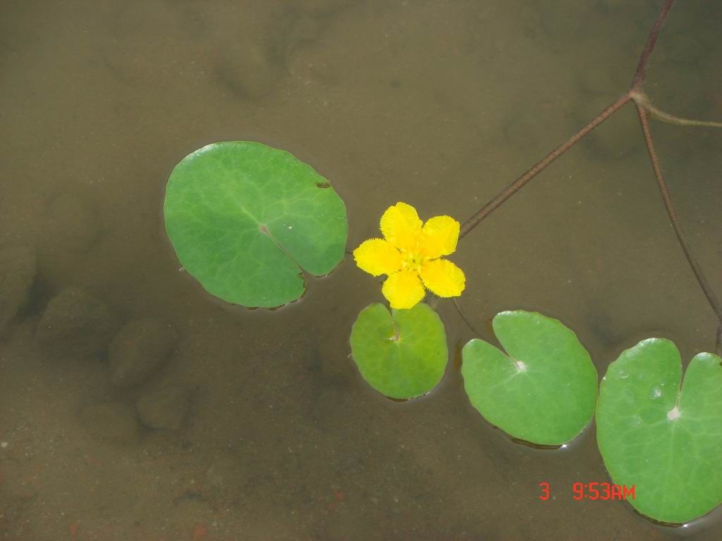 DSC07973.JPG