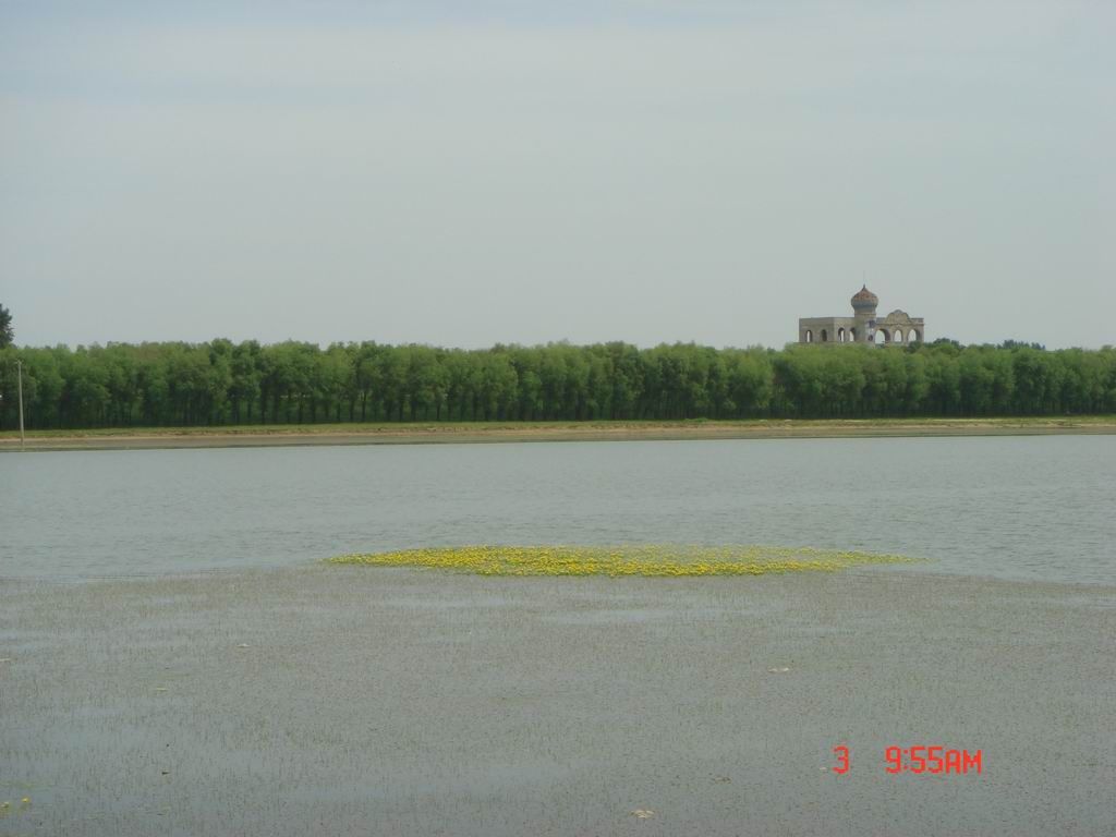 DSC07975.JPG