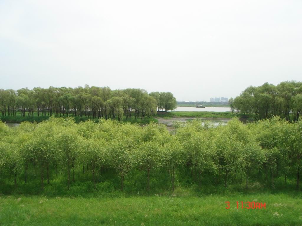 DSC07994.JPG