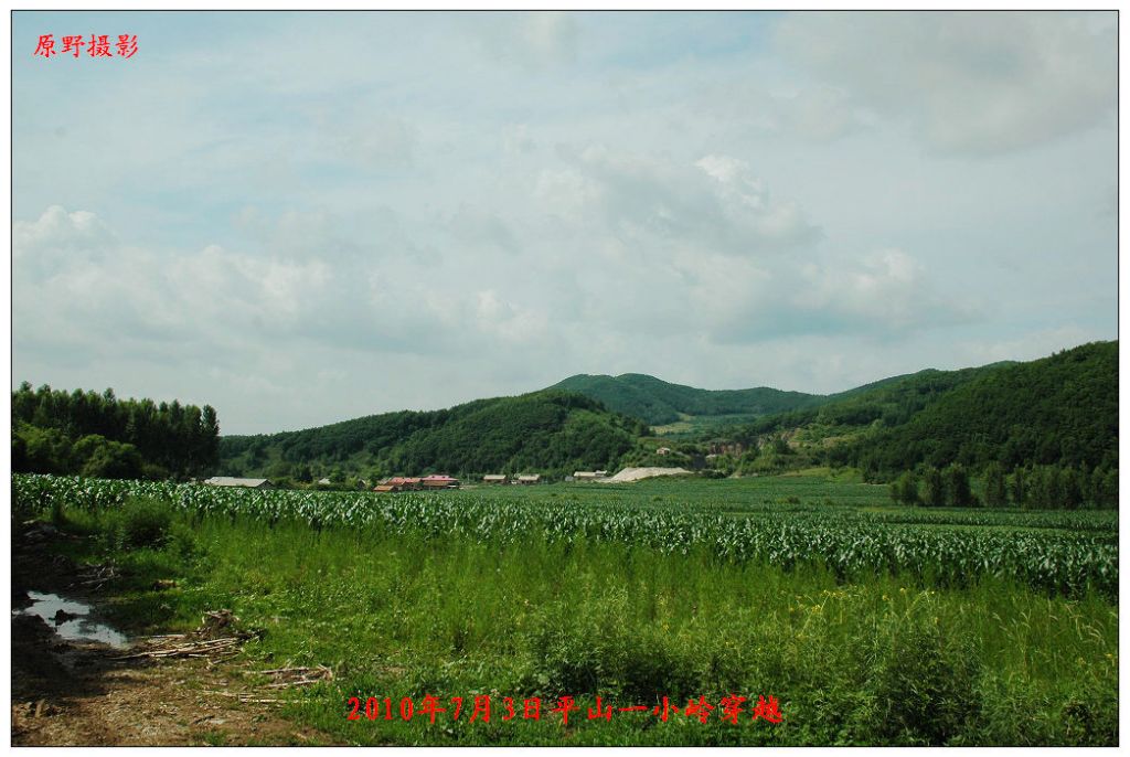 DSC_0894.jpg