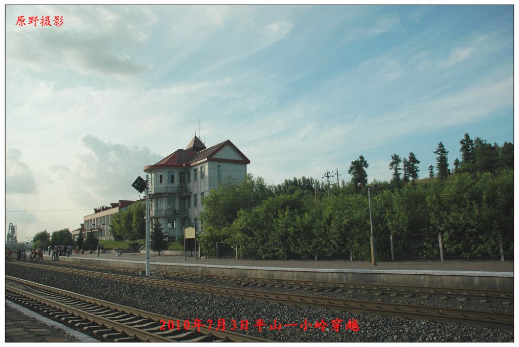 DSC_1010.jpg