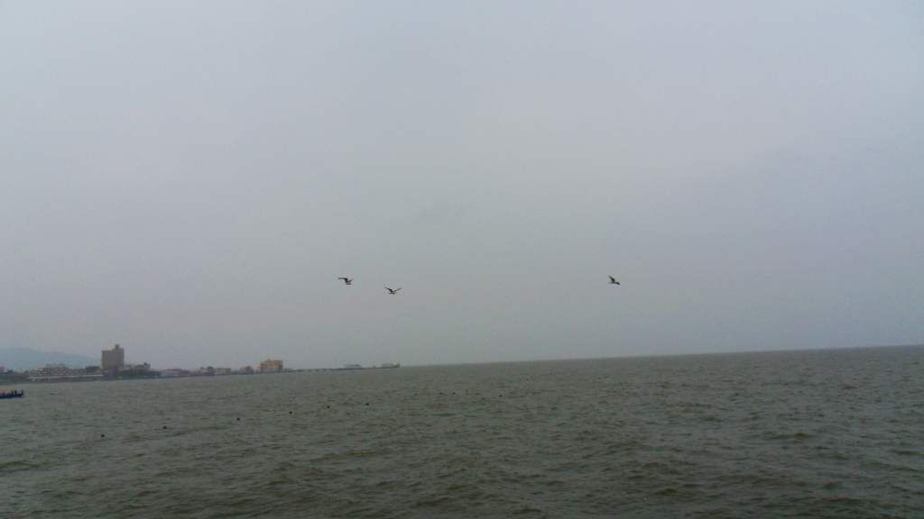 SDC13990.jpg