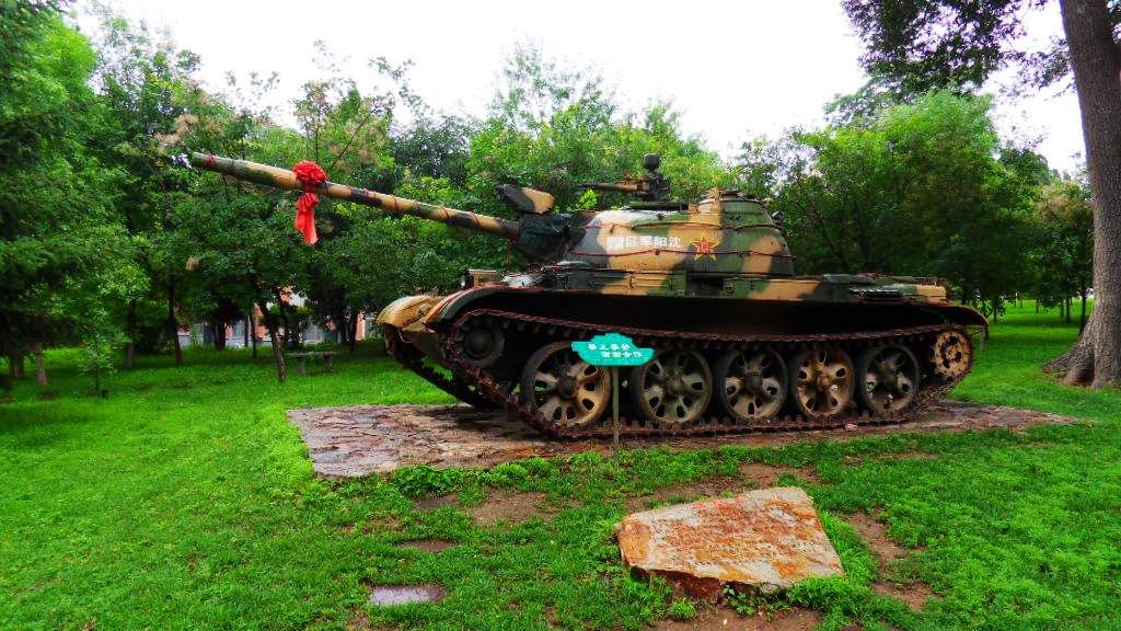 SDC14033.jpg
