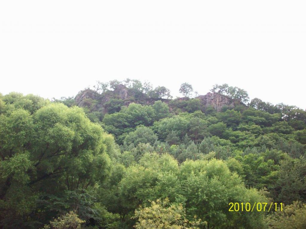 100_5426.JPG