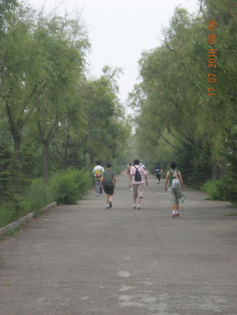 2010626��Ƭ 0441.JPG